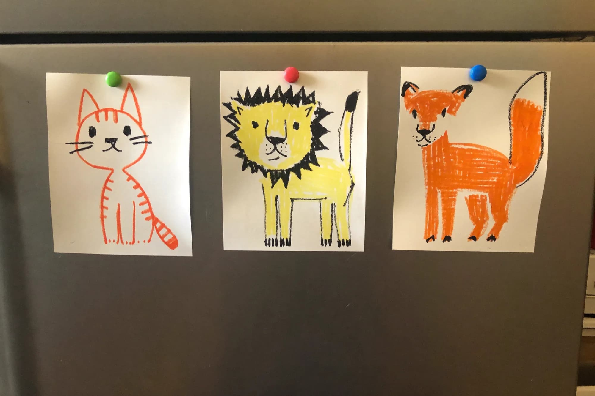 Three children’s crayon drawings of a cat, a lion and a fox held on a fridge door with magnets